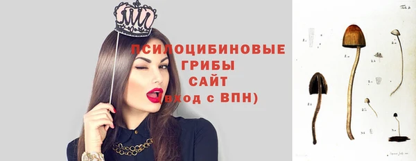 спайс Алексин