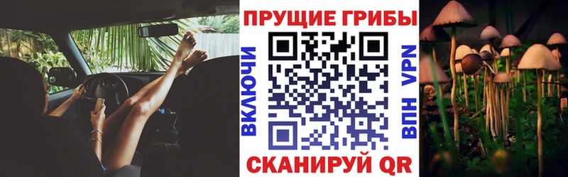 мориарти как зайти  Апшеронск  Галлюциногенные грибы Cubensis  кракен ССЫЛКА 